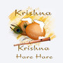 Krishna Krishna Hare Hare