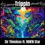 Trippin (feat. RON!N Star) [Explicit]