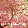 Cherry Blossoms (feat. Cee Beats & Araless)