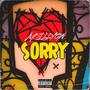 Sorry (Explicit)