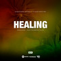 Healing Reggae (Instrumentals)