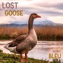 Lost Goose