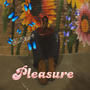 Pleasure (Explicit)