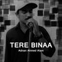 Tere Binaa