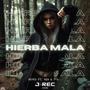 Hierba mala (feat. REYES, ™-G- & MZH) [Explicit]