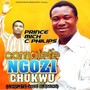 Complete Ngozi Chukwu (Complete God's Blessing)