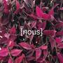 nous (Explicit)