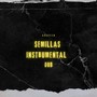 Semillas Instrumental Dub