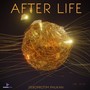 AFTER LIFE