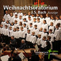 J.S. Bach: Weihnachtsoratorium (Auszüge)