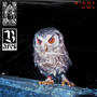 Night Owl (Explicit)