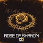 Rose of Sharon