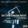 In The Stash Spot (The B Tape) [Explicit]