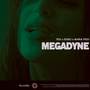 Megadyne