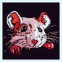 Pet Rat