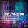 What You Want (Explicit)