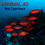 Minimal 40 New Experience