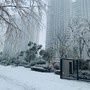 雪像重逢像遗憾像爱而不得