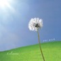 One Wish