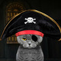 Pirate Anthem (Explicit)
