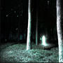 Bae ii (feat. coletvamp) [Explicit]