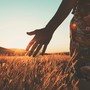 Lofi Chill for Complete Relaxation Moments