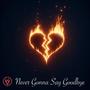 Never Gonna Say Goodbye (feat. Alexandra Livshitz)