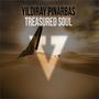 Treasured Soul