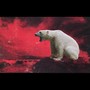 Polar Bear (Explicit)