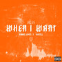 When I Want (Explicit)