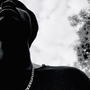 Not Perfect (feat. Tshwarelo) [Radio Edit]
