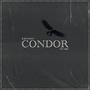 Condor