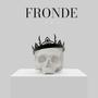 FRONDE (Explicit)