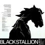 Black Stallion