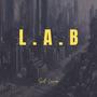 L.A.B (Explicit)