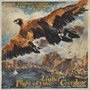 Flight of the Condor