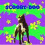 NotRon SCOOBY-DOO (Explicit)