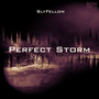 Perfect Storm