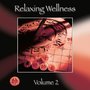 Relaxing Wellness, Vol. 2