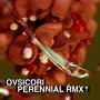 Perennial RMX