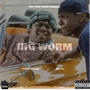 Big Worm (feat. Big FTG) [Explicit]