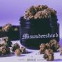 Misunderstood (Explicit)