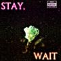 STAY//WAIT