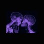 Remember Me (Explicit)