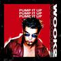 Pump It Up (WOOK2 Remix)