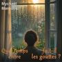 Quel temps fait-il entre les gouttes ?