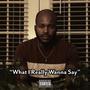 What I Really Wanna Say (Face Ass) [Explicit]