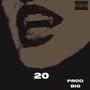 20 (Explicit)