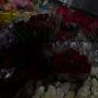 Heart of a Giant (Explicit)