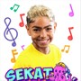 Sekat